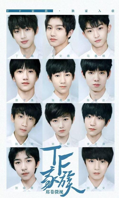 tf家族今日爆料,揭秘成员们背后的故事与成长历程  第2张